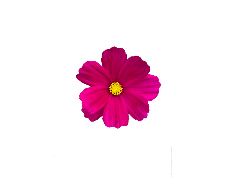 love..png